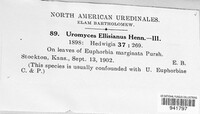 Uromyces ellisianus image